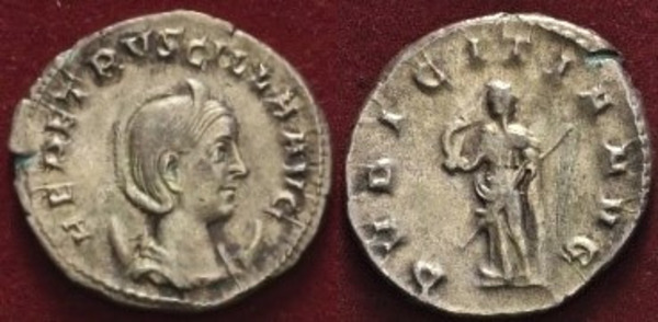 Hohn 11(5).jpg