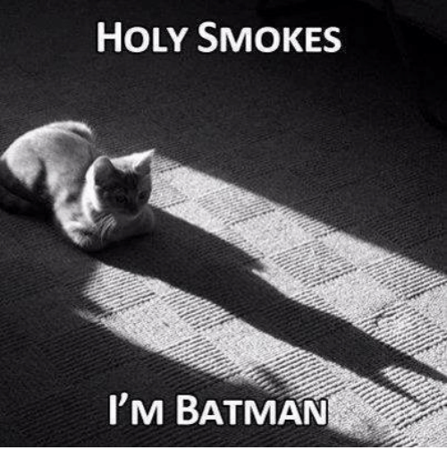 holy-smokes-im-batman-25552007.png