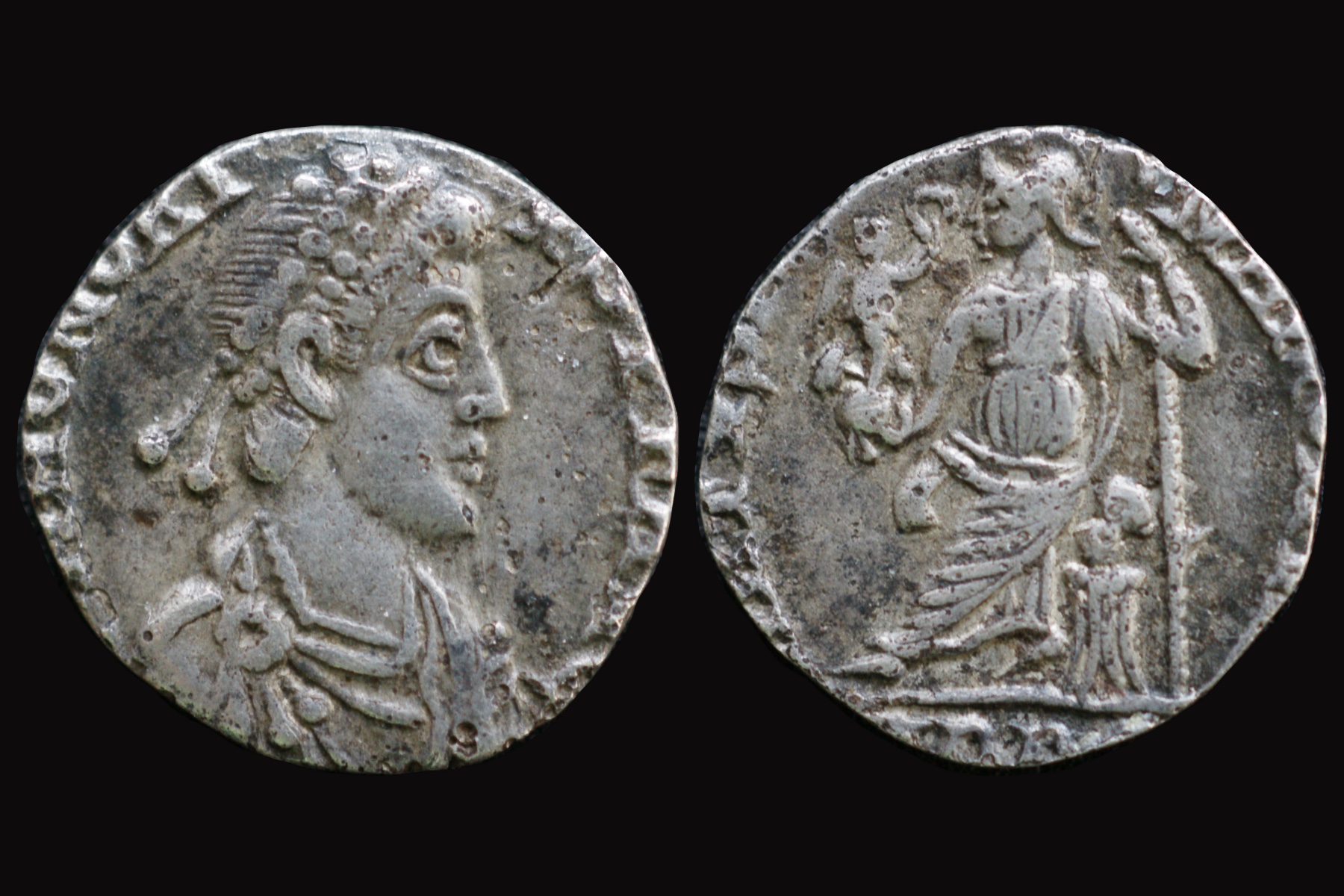 Honorius siliqua.jpg