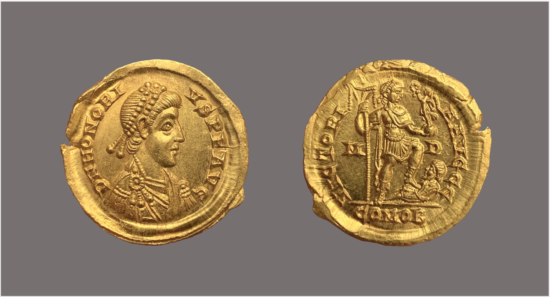Honorius solidus.jpg