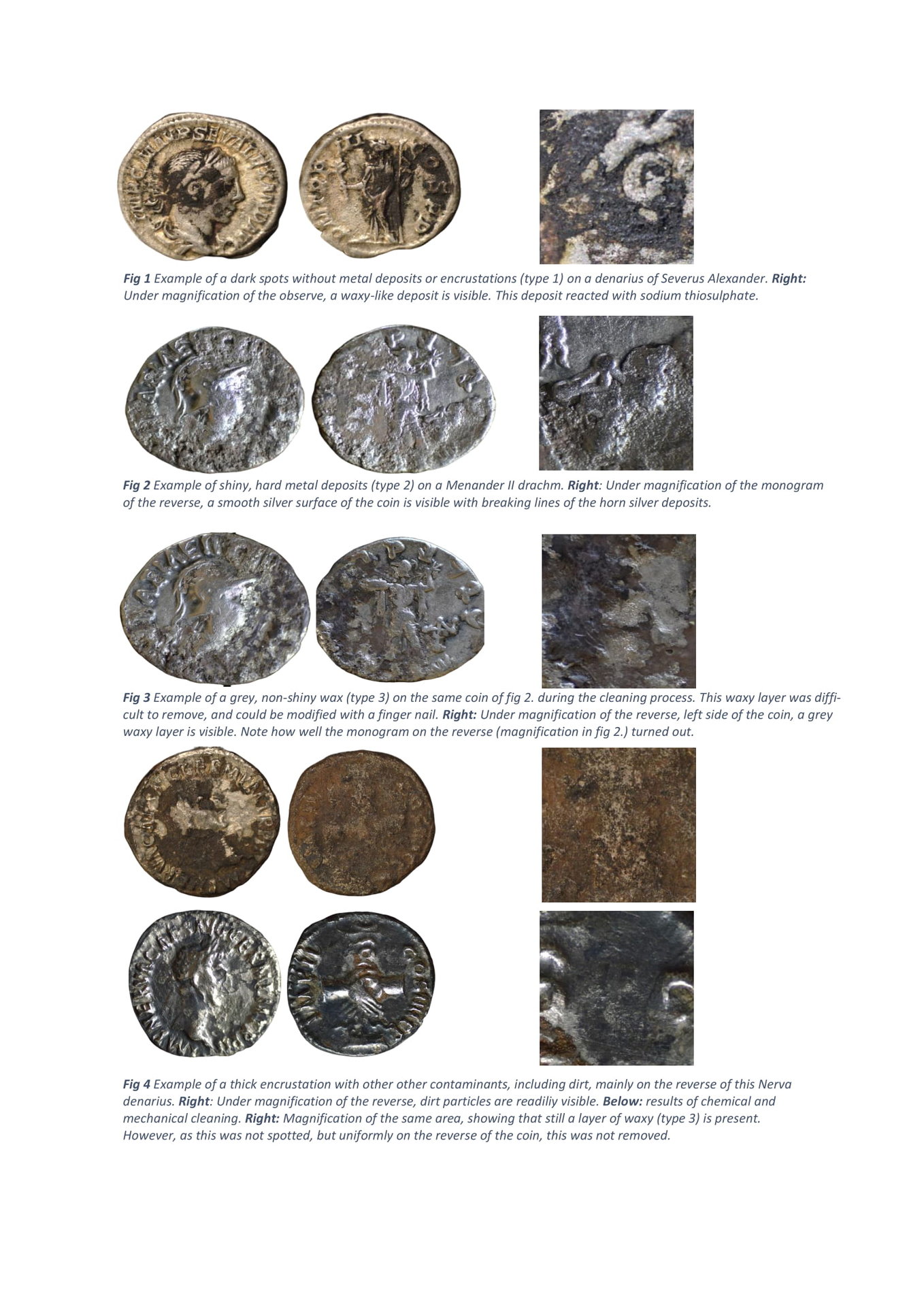 Horn silver-2.jpg