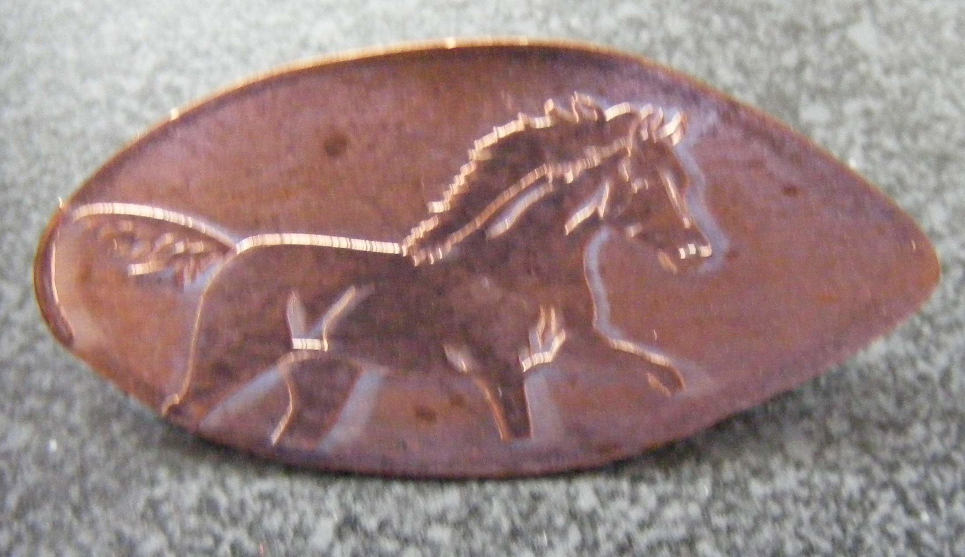 Horse with clip.jpg