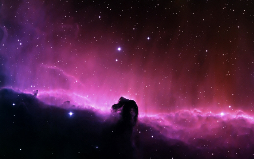 Horses Head.jpg