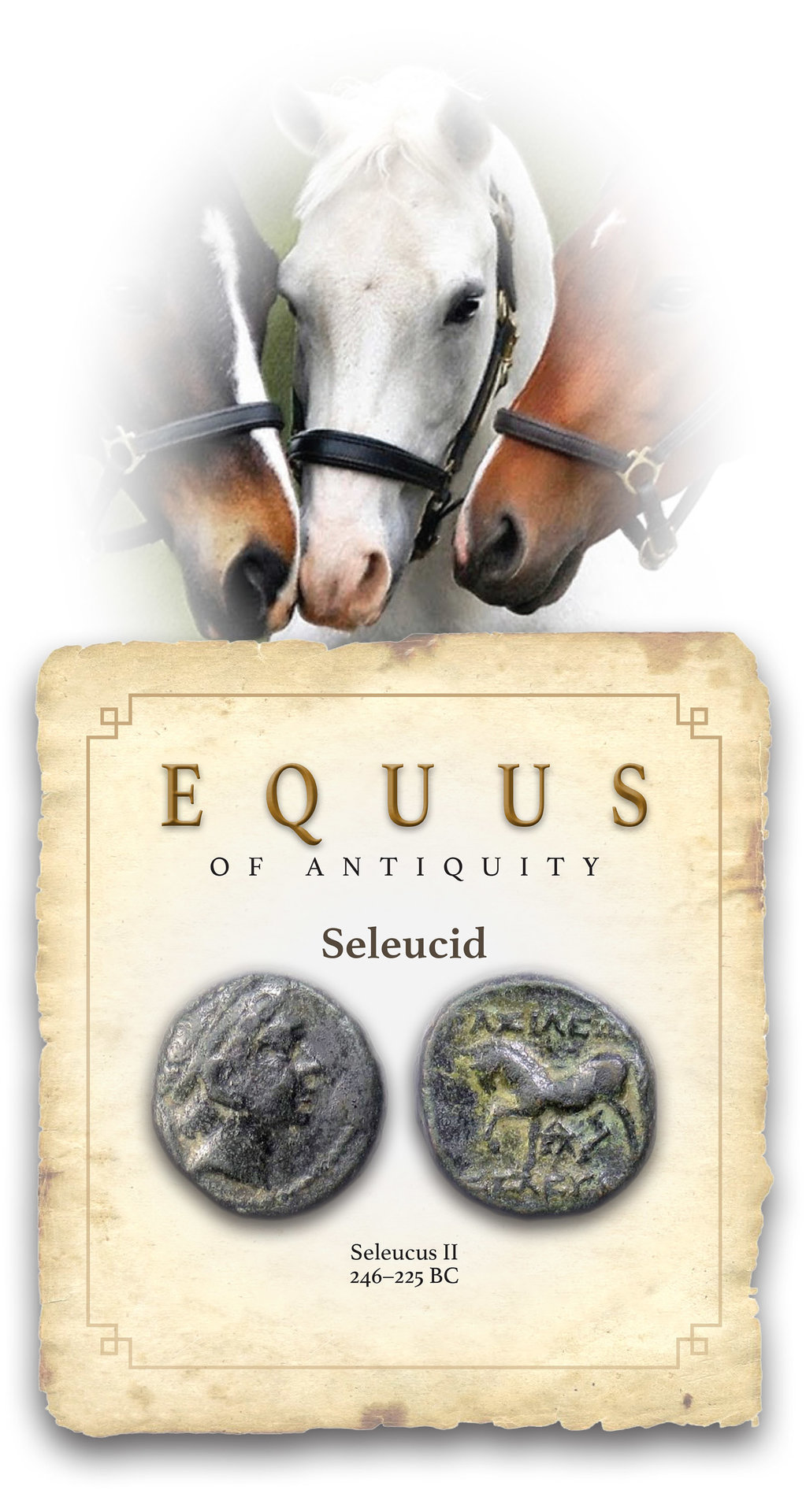 HORSES.jpg