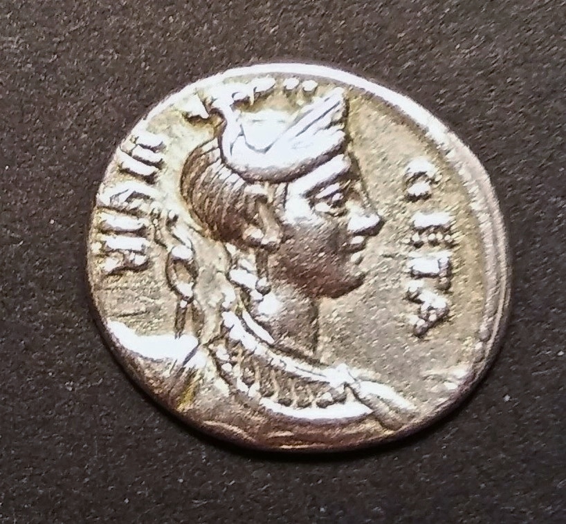 Hosidia O2.jpg