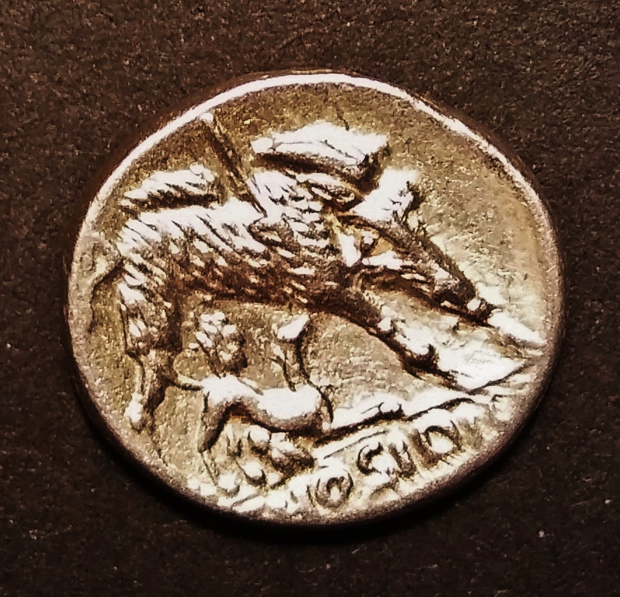 Hosidia R1.jpg