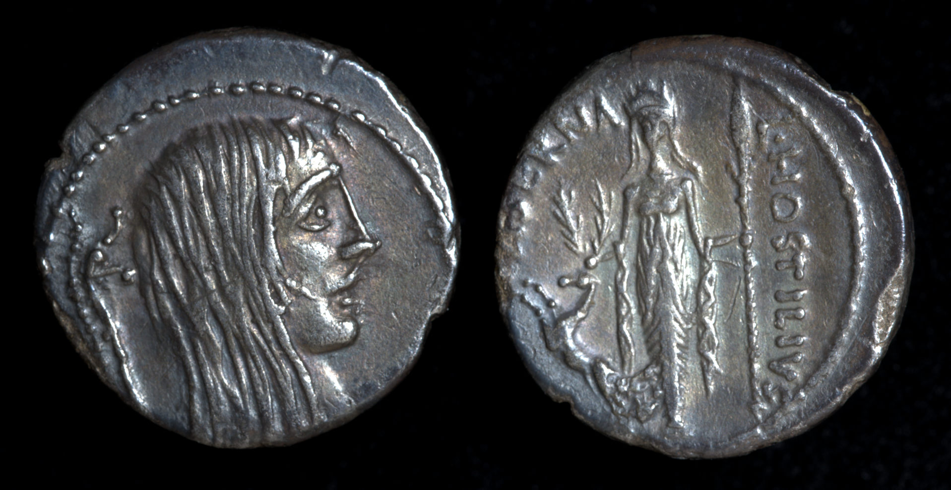 Hostilia denarius.jpg