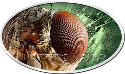 housefly_reversedc__20093.1400344182.jpg