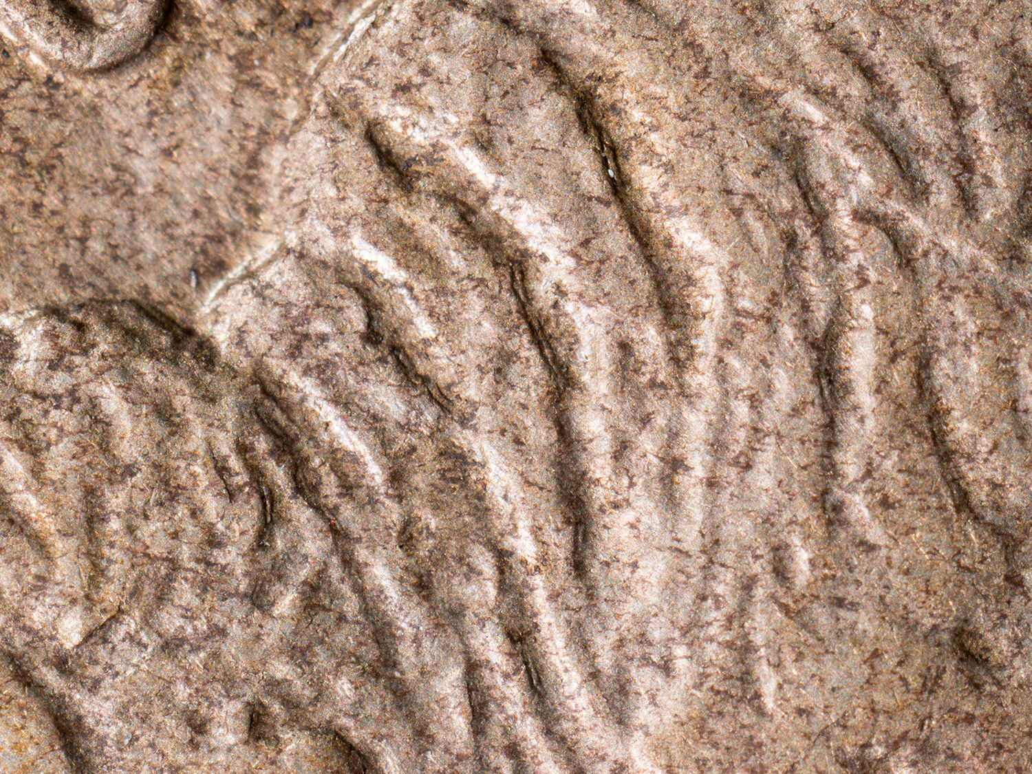 Hump-Detail-Small.jpg