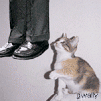 Hung.gif