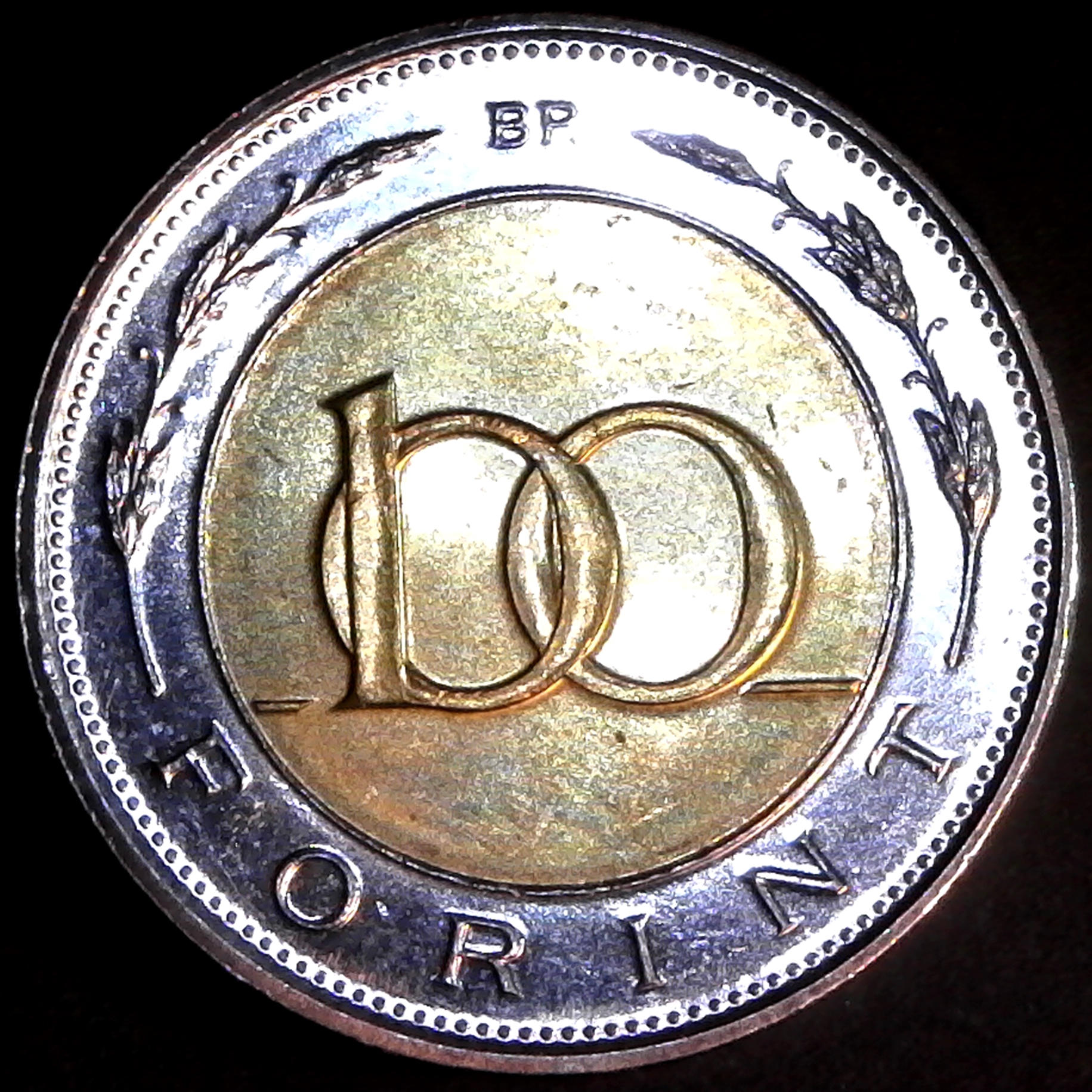 Hungary 100 Forint 1996 rev.jpg