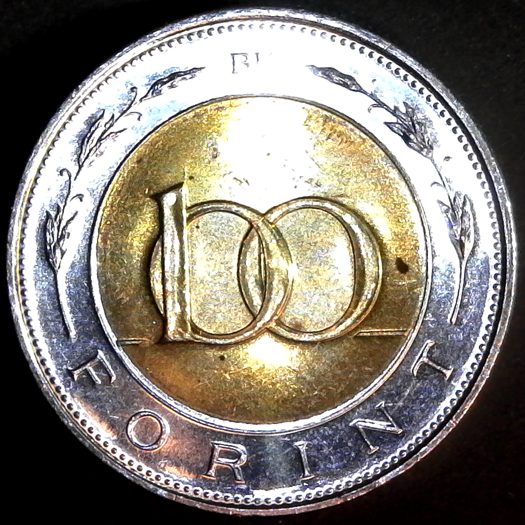 Hungary 100 Forint 2002 rev.jpg