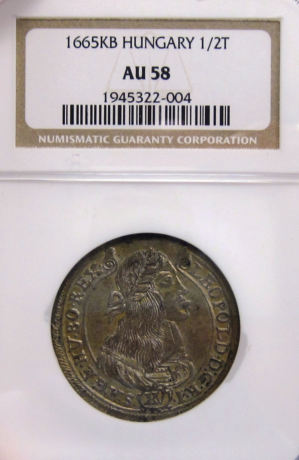 Hungary 1665 Slab Obv WT.jpg