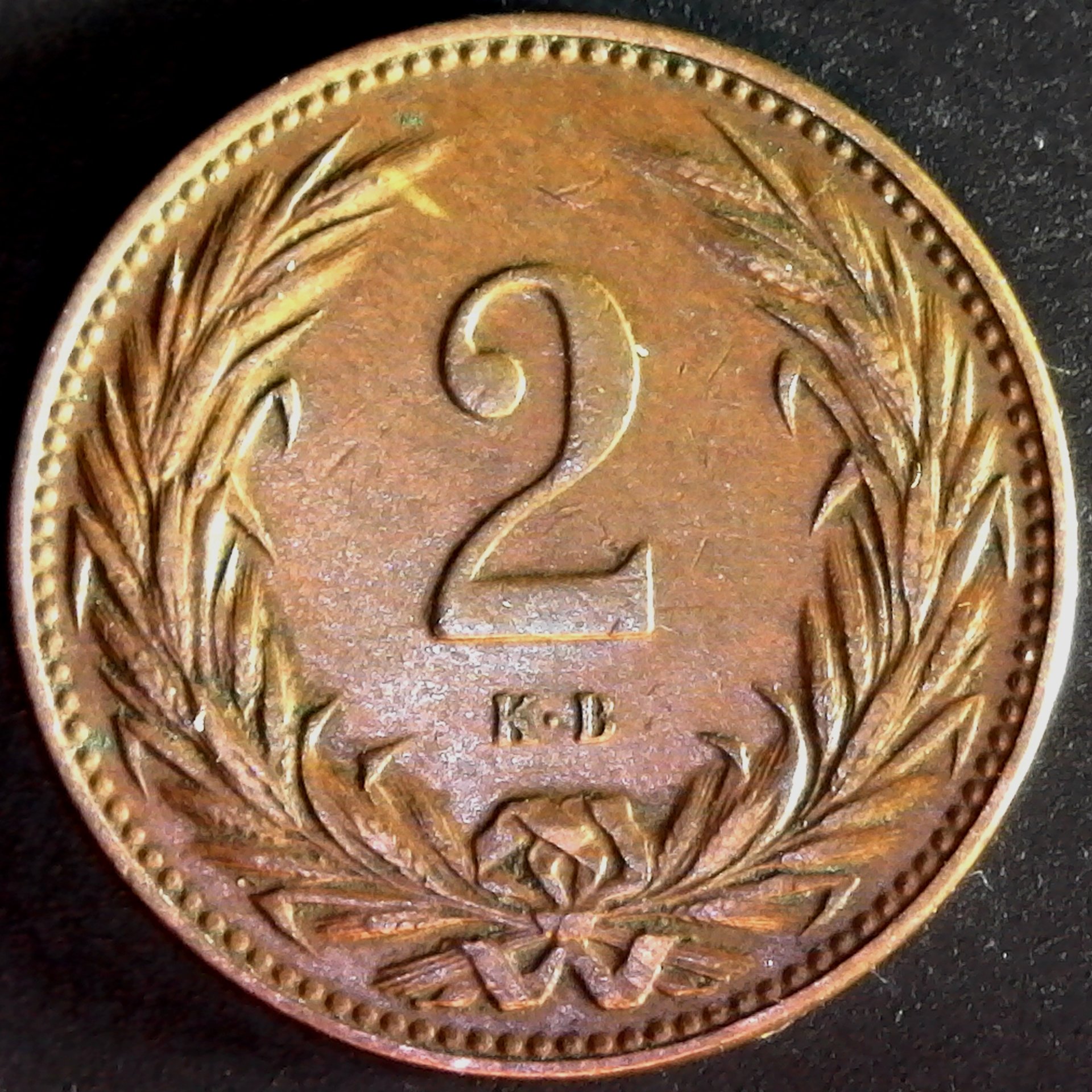 Hungary 2 Filler 1901 rev.jpg