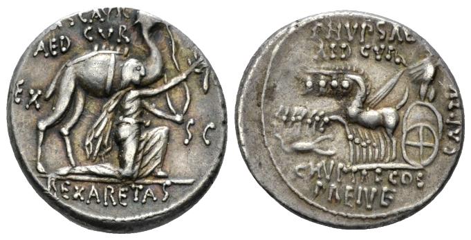 hypsaeus scaurus.jpg