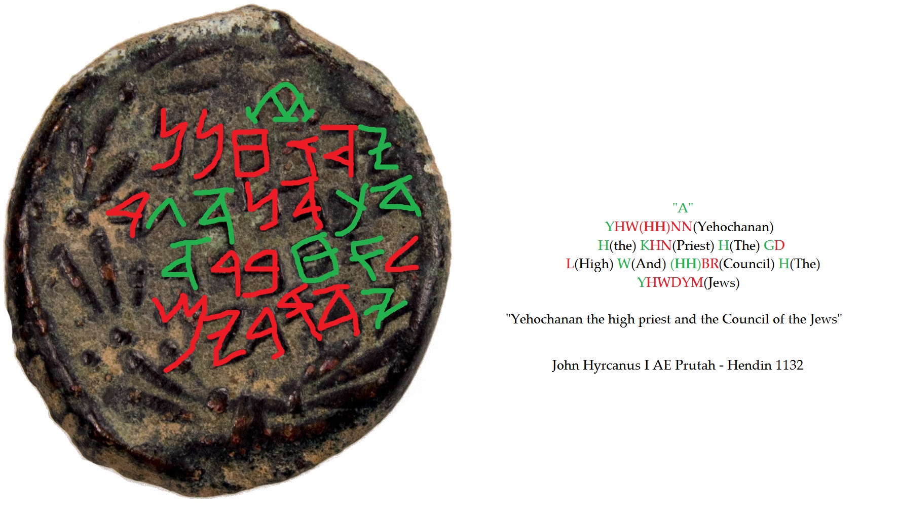 hyrcanus-combined - Copy.jpg