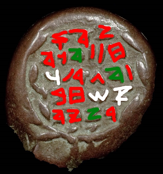 hyrcanus doug.jpg