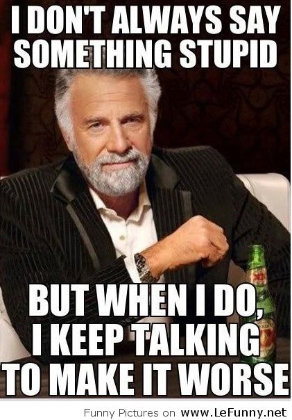 I-dont-always-say-something-stupid.jpg