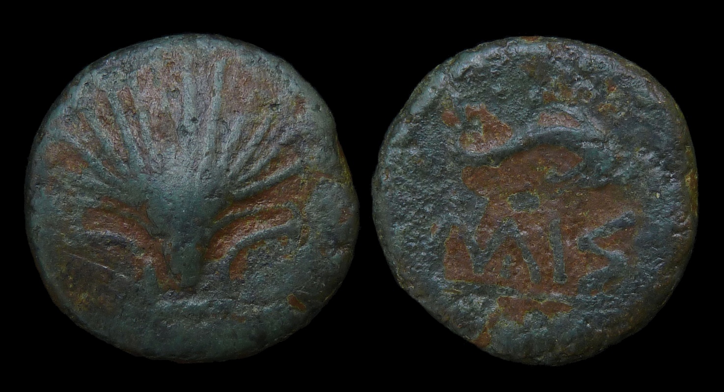 IBERIA Arse-Saguntum - Scallop Dolphin 3548.jpg