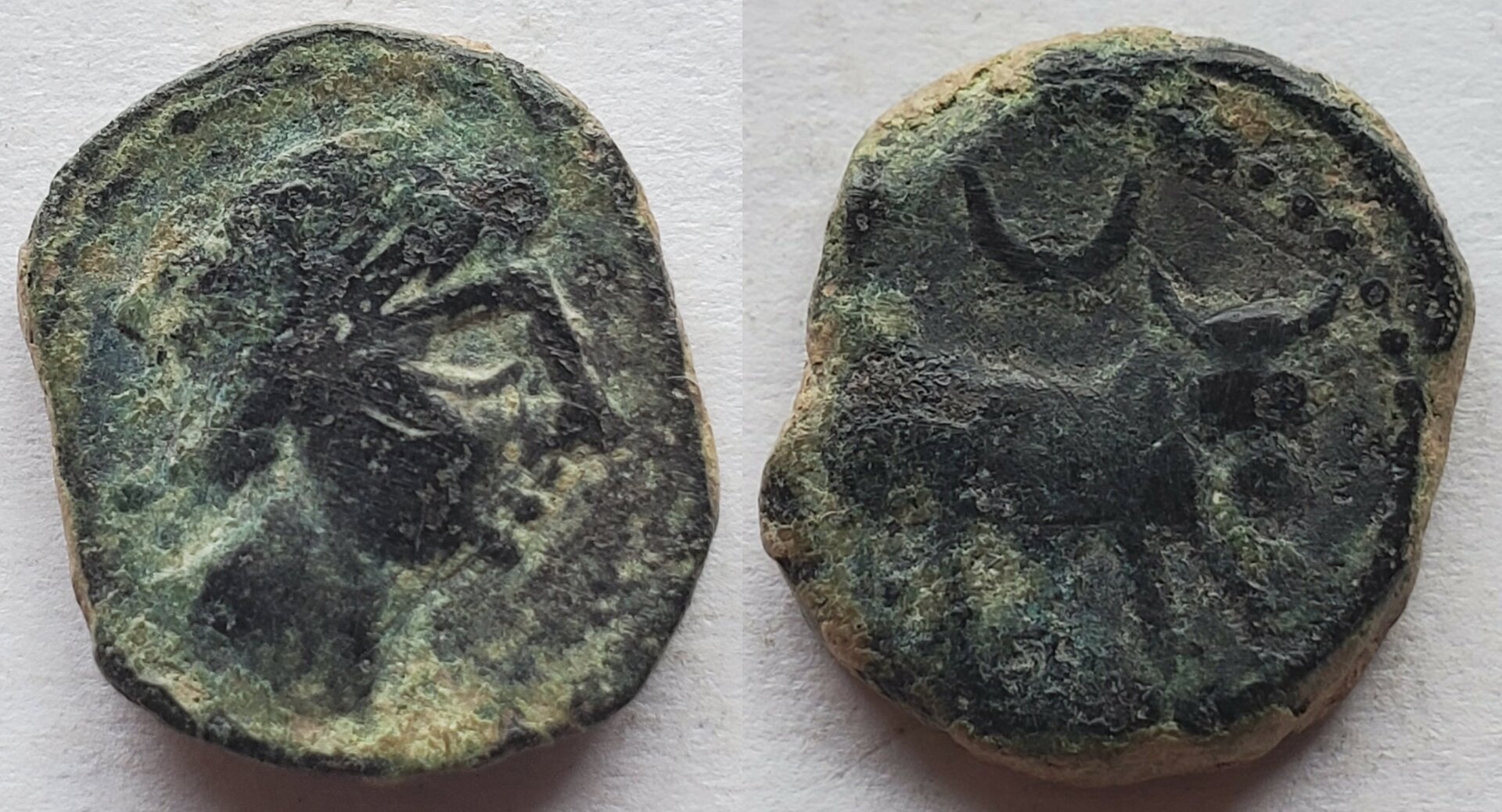 Iberia Castulo AE semis Bust Bull.jpg