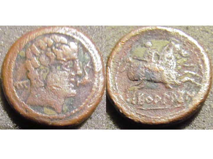 Iberian coin.jpg