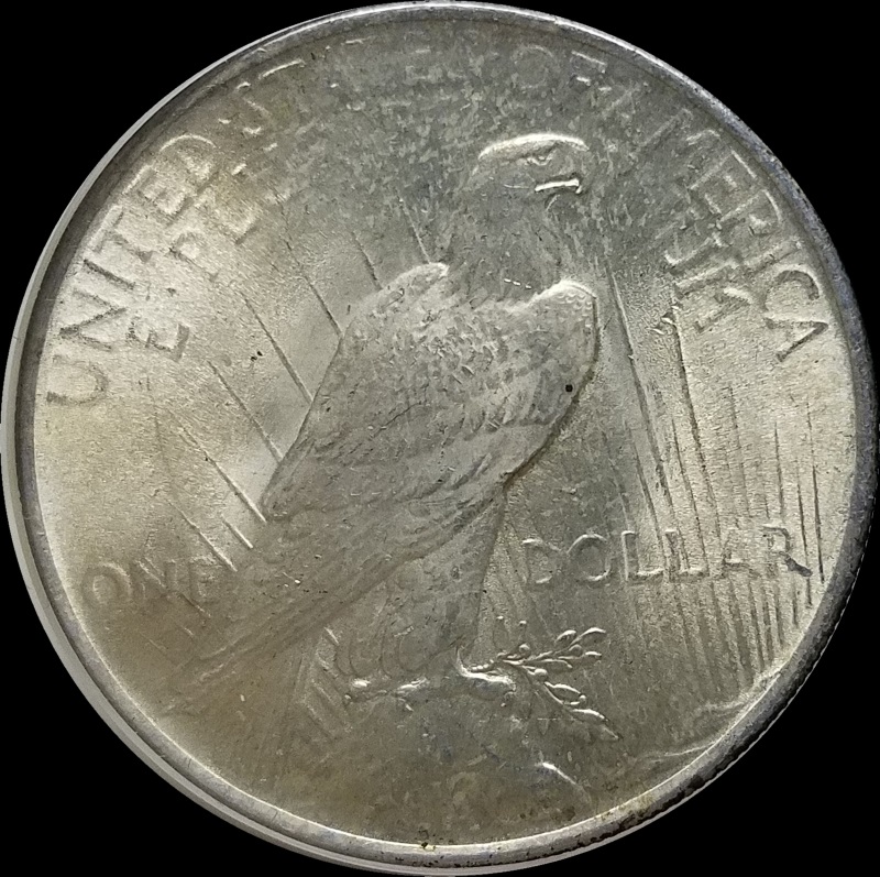 ICR-5195-1924P-Peace-Rev-Coin.jpg