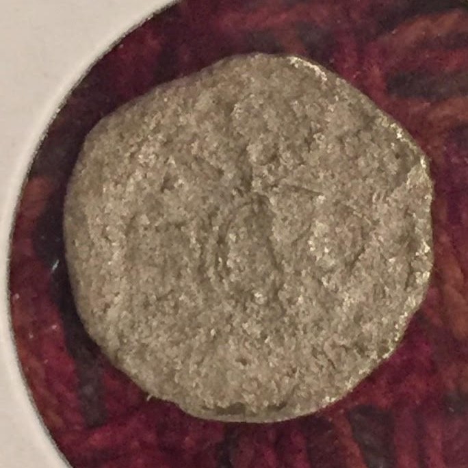 Identification_4.jpg