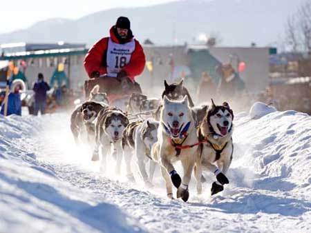 iditarod5.jpg