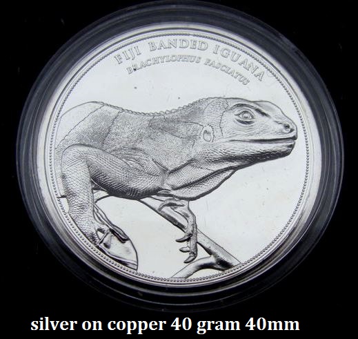 iguana.jpg