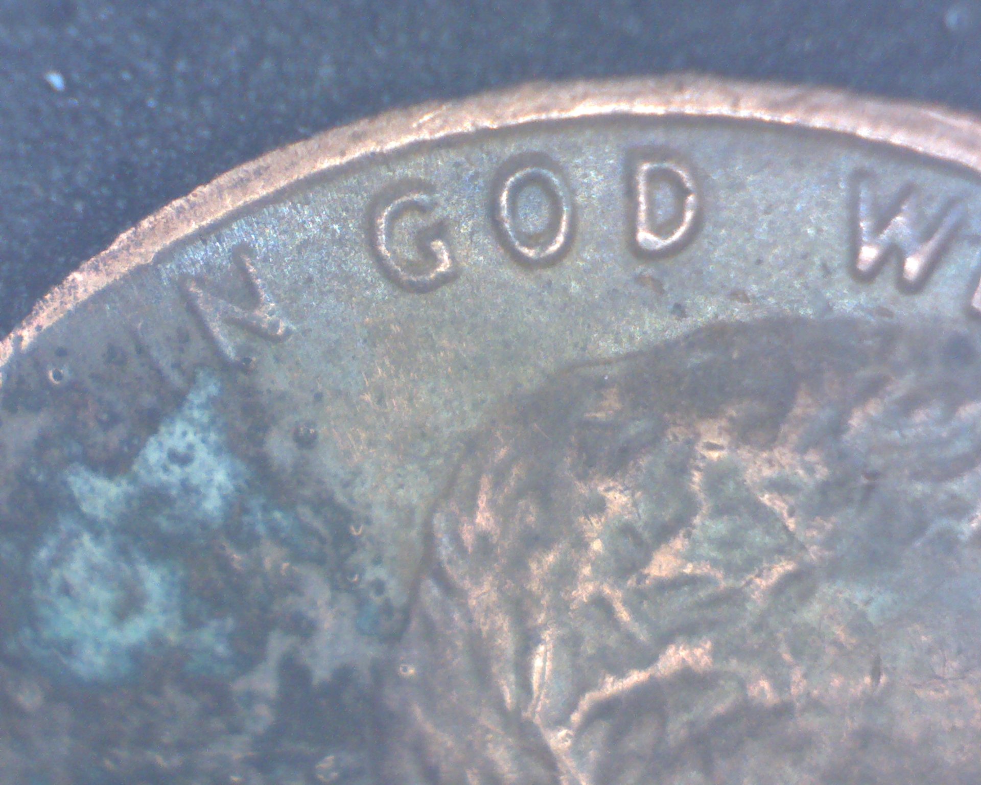 IGWTgreen84d.jpg
