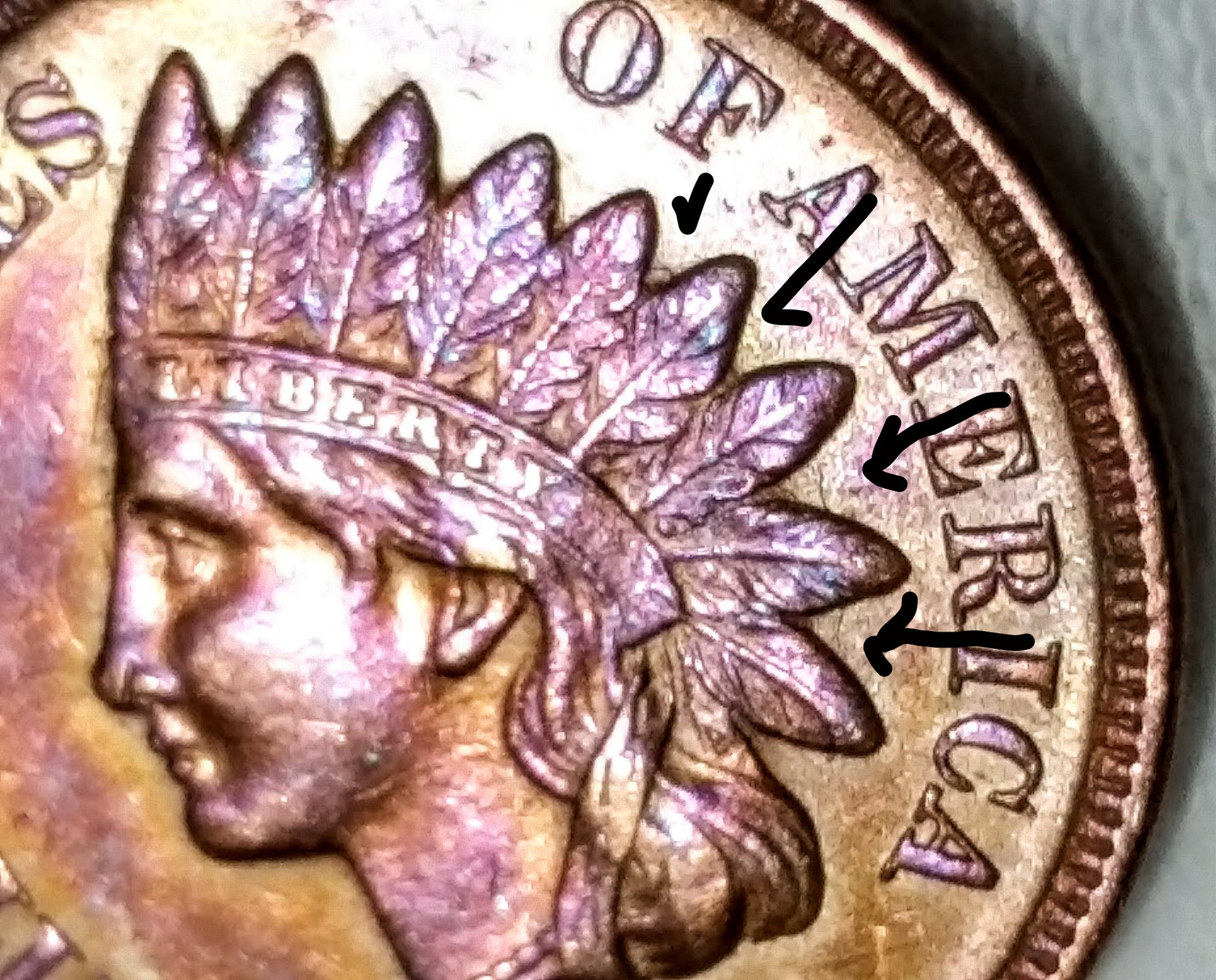 ihc 1.jpg