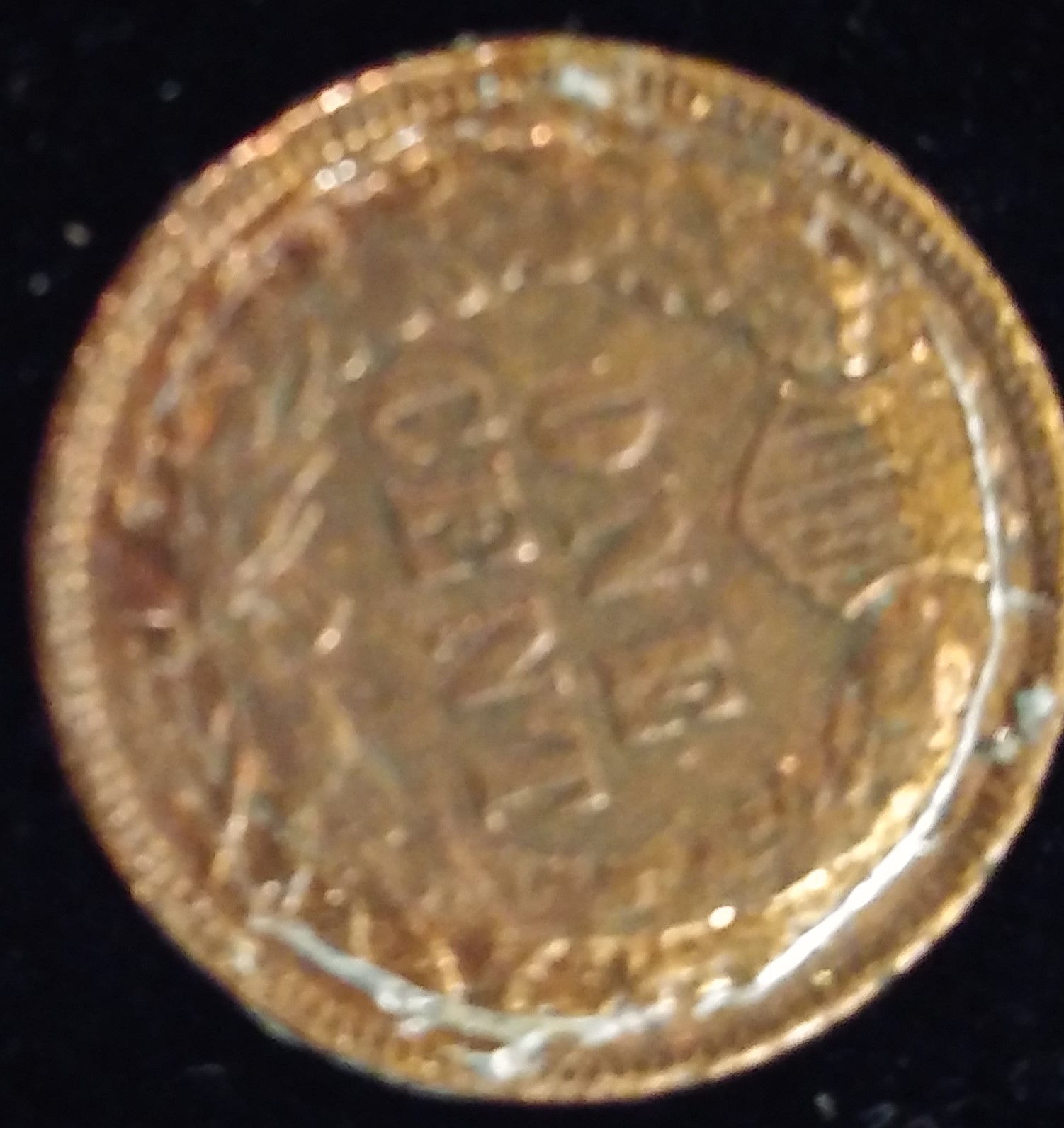 IHC Reverse 2.9g.jpg