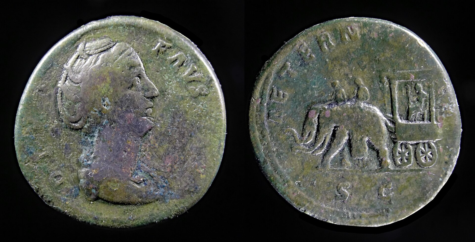 III Faustina Sr 1113 cleaned2.jpg