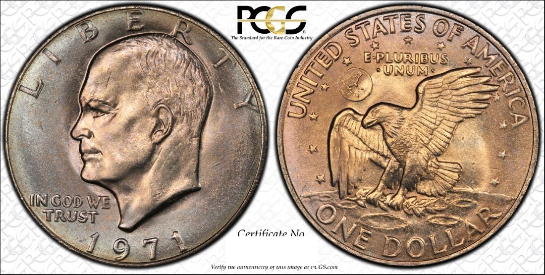 IKE 0266 PCGS Trueview large.jpg