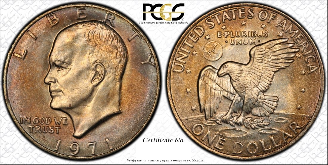 IKE 0267 PCGS Trueview large.jpg