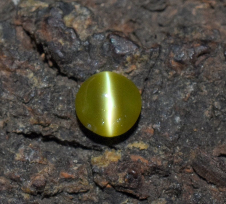 il_794xN.2868237409_hvzk.jpg