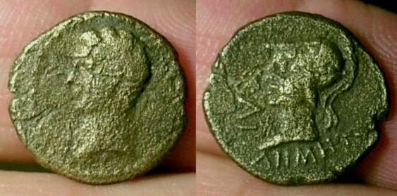 ilium.jpg