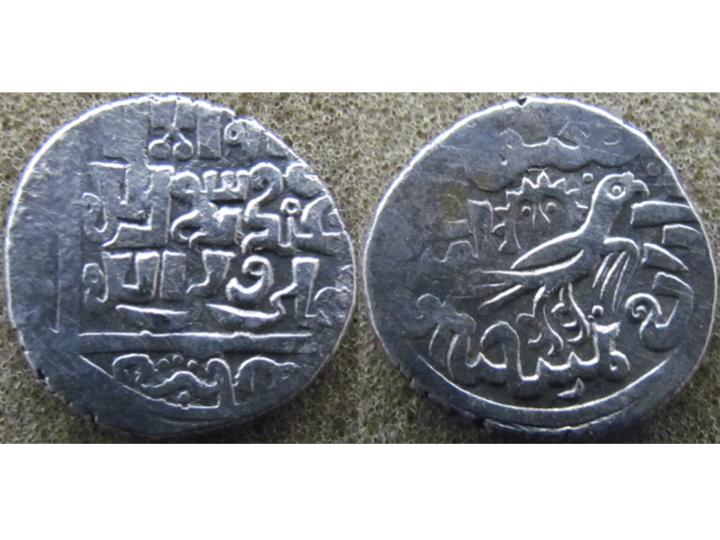 Ilkhan bird.jpg