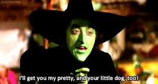 i'll get you my pretty!.jpg