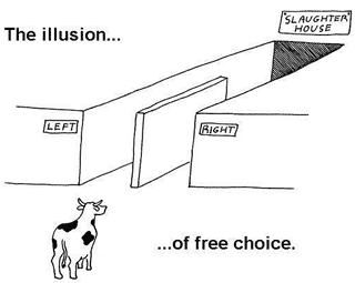 illusion.png