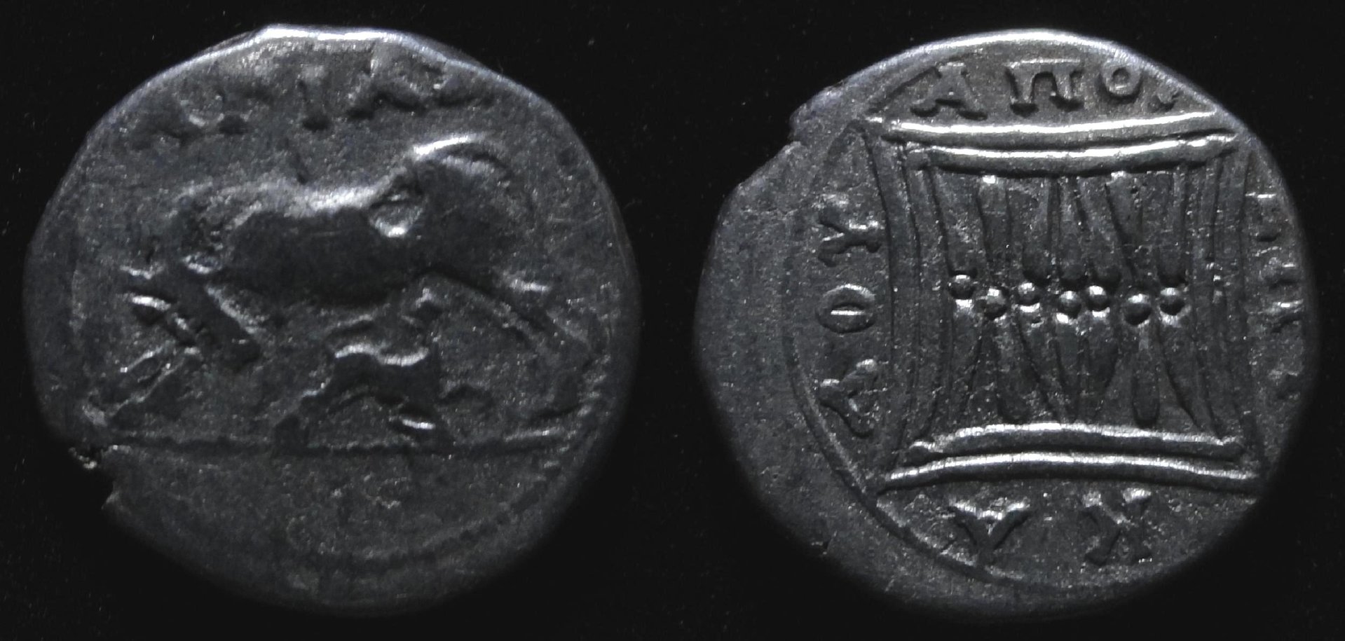 IllyriaApollolina2ndcentBC.jpg