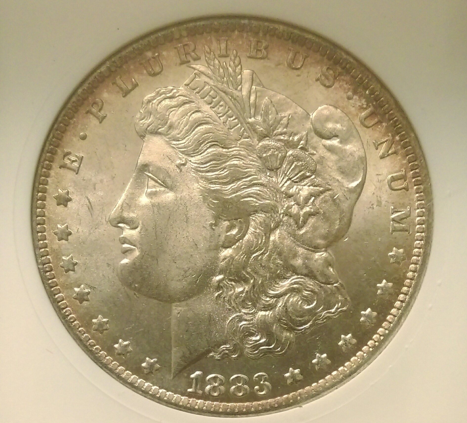 IMAG0047_1.jpg