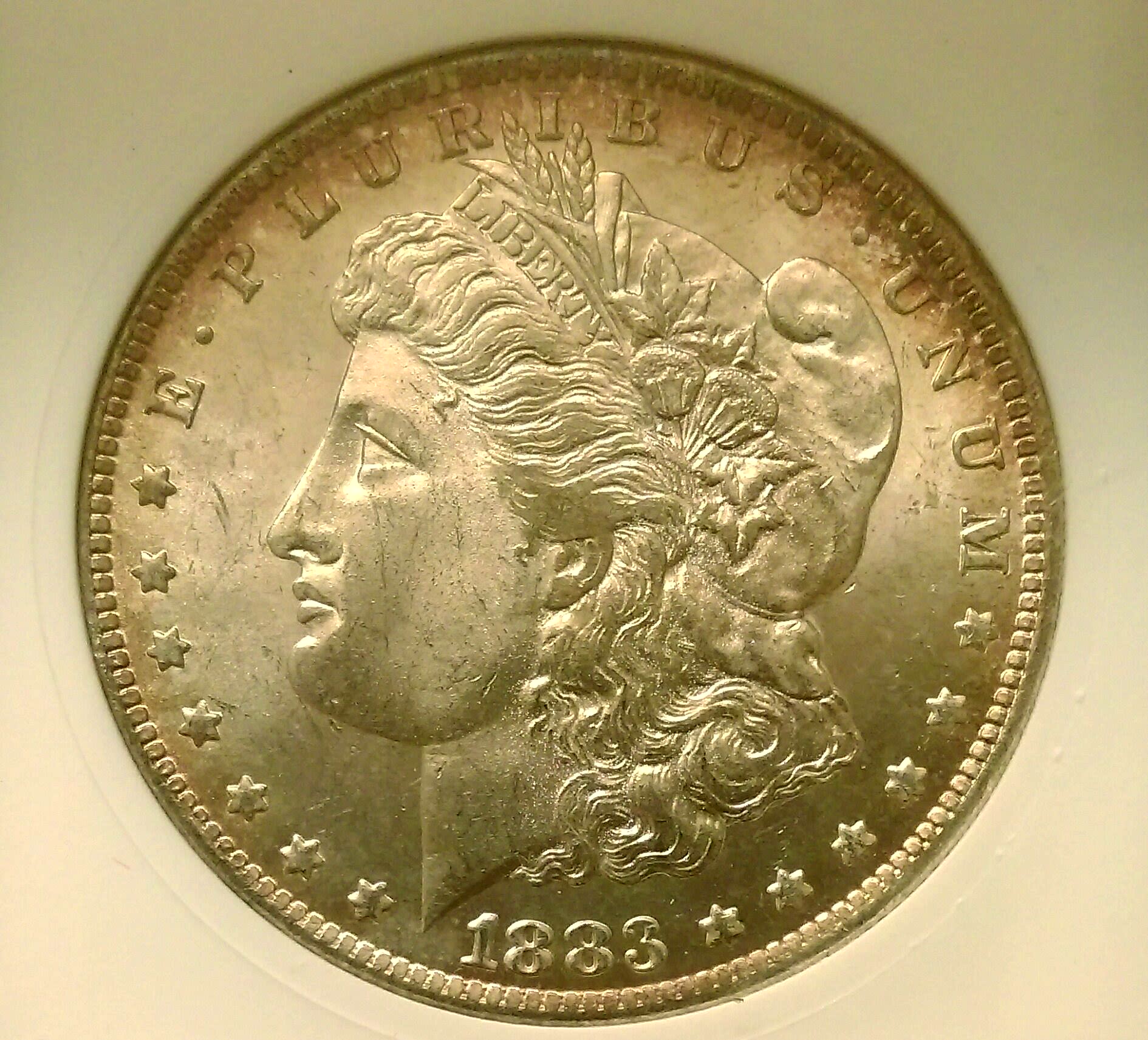 IMAG0047_1.jpg
