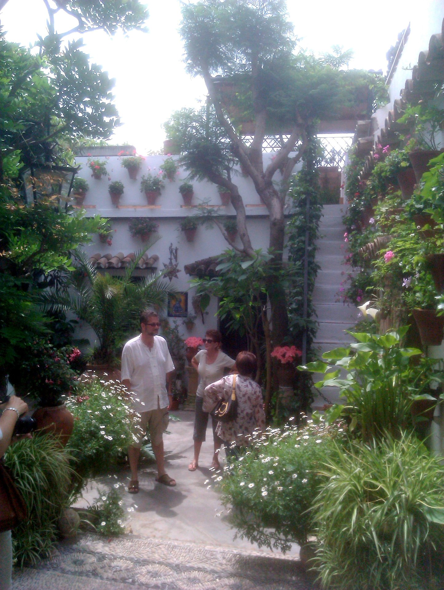 IMAG0057.jpg
