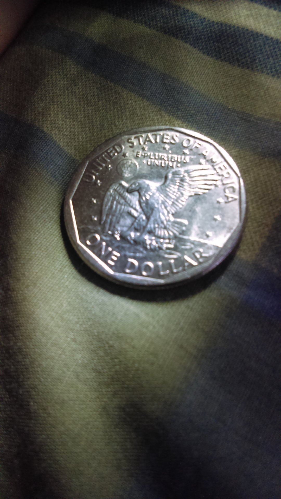 IMAG0062.jpg