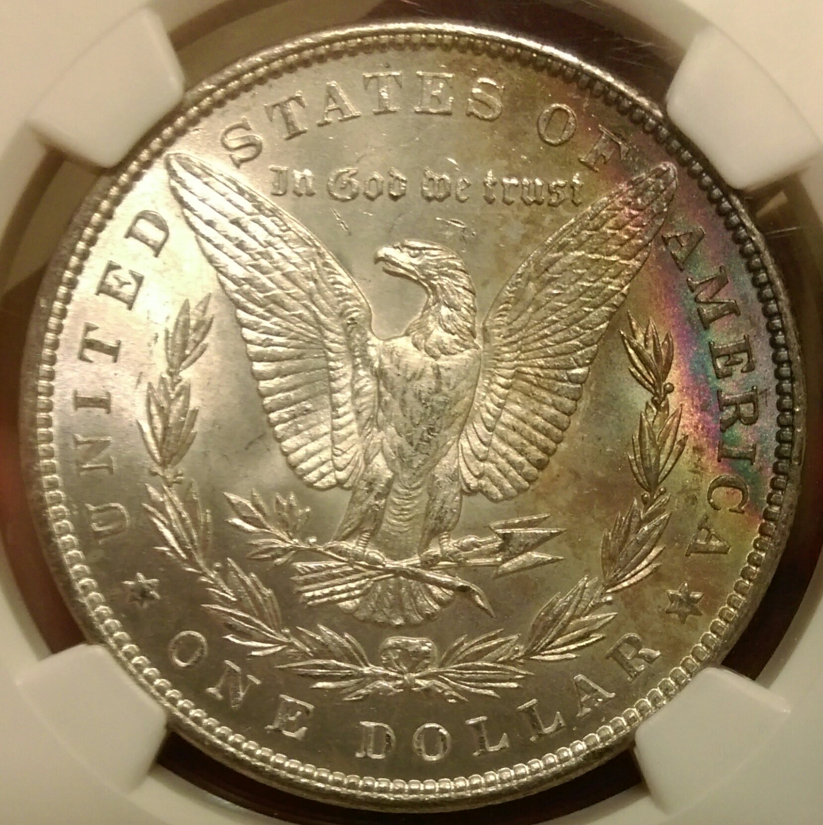 IMAG0075_1.jpg