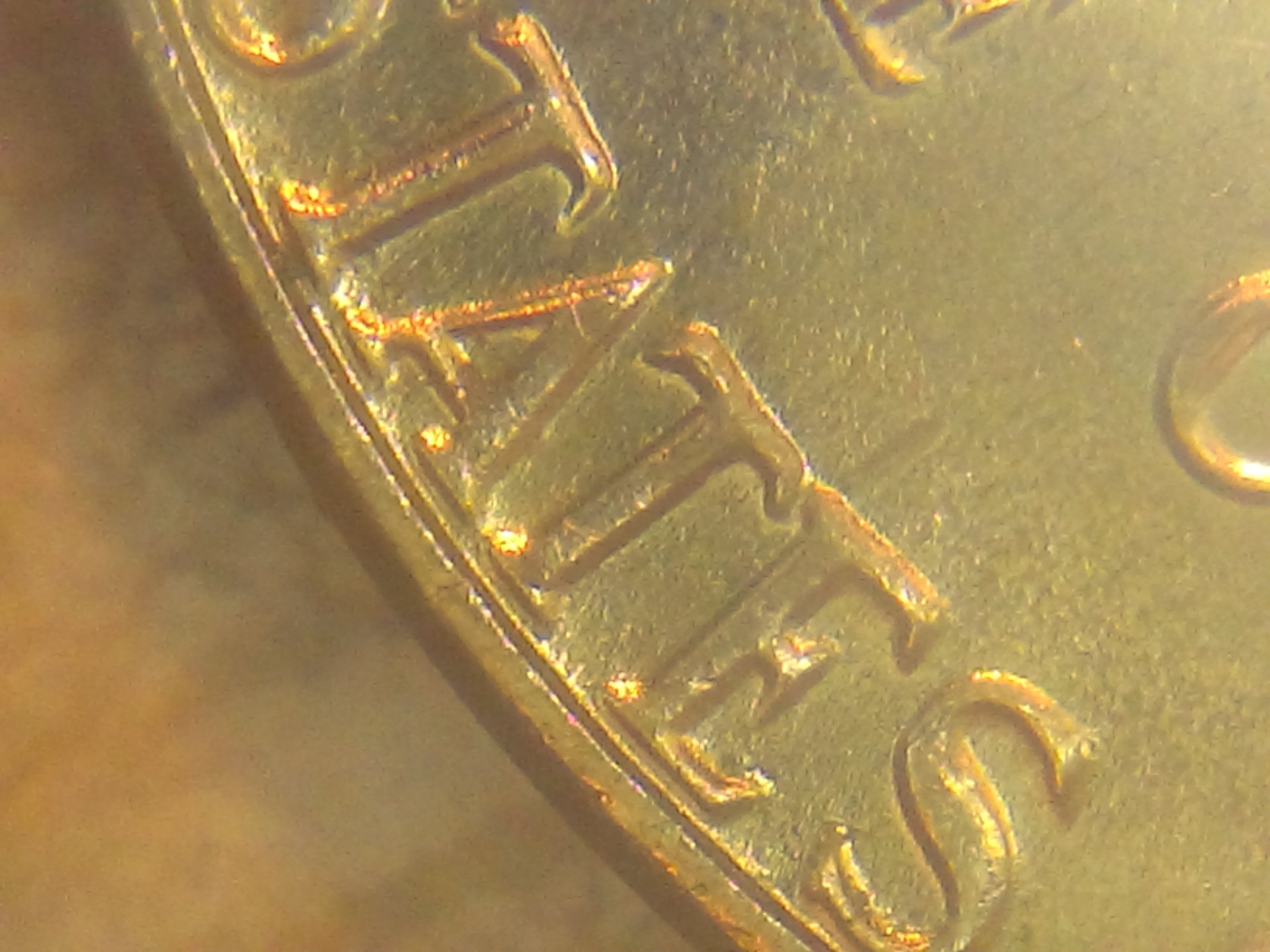 IMAG0088.jpg