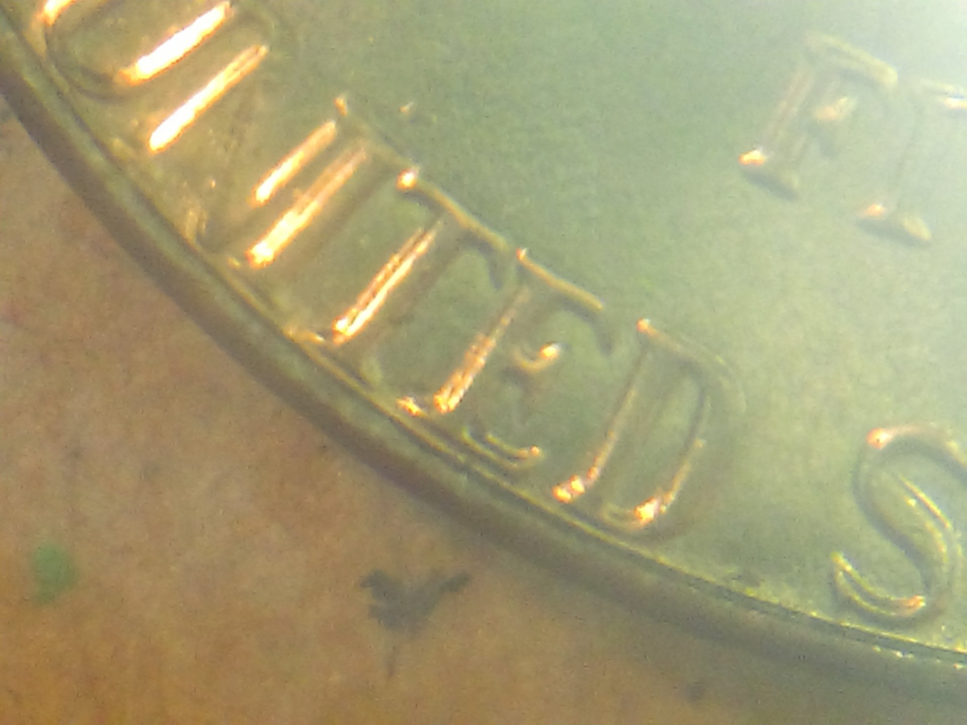 IMAG0091.jpg
