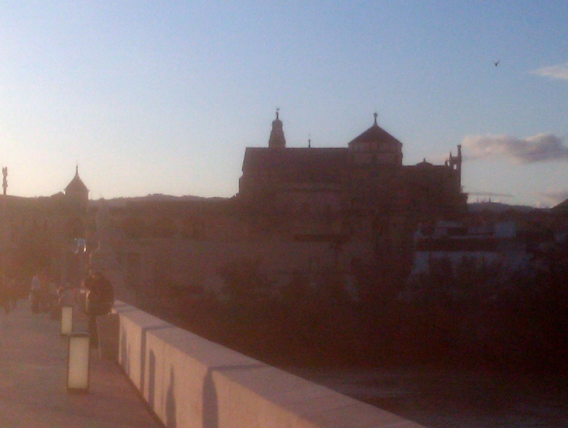 IMAG0098.jpg