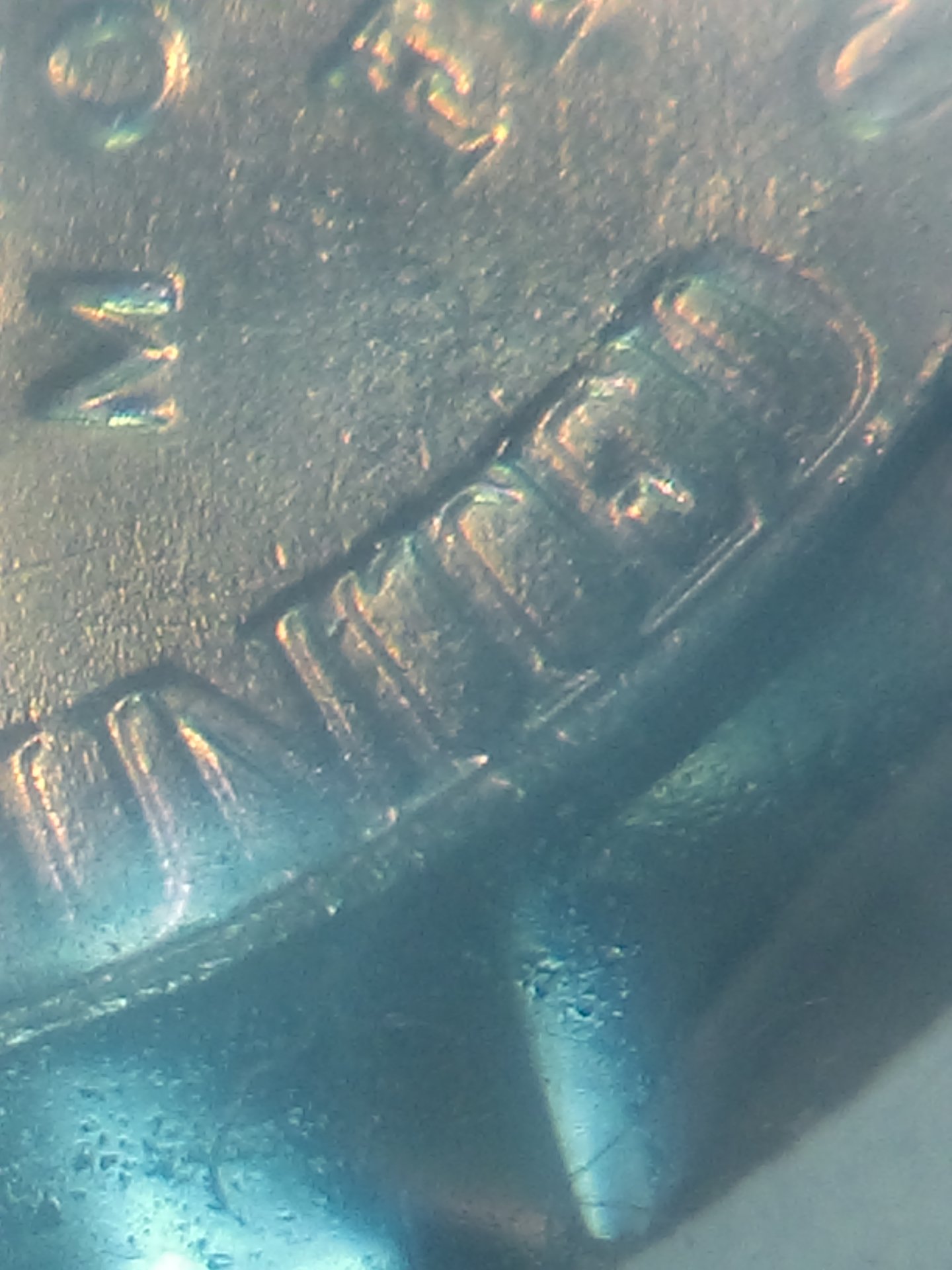 IMAG0099.jpg